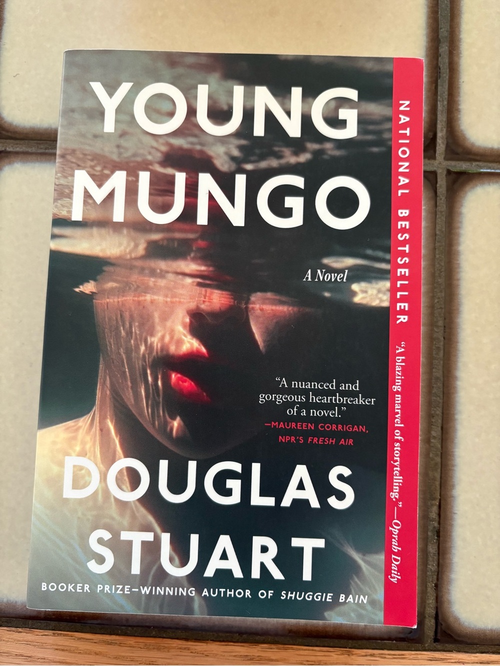 Book: Young Mungo by Douglas Stuart Paperback